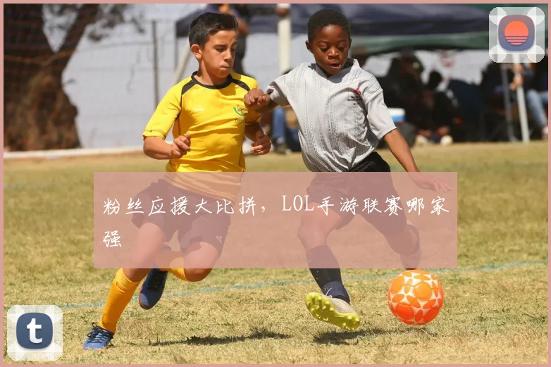 粉丝应援大比拼，LOL手游联赛哪家强