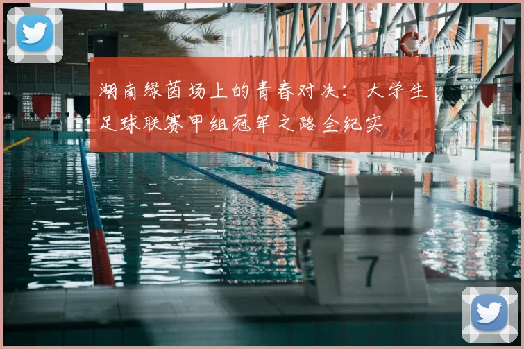湖南绿茵场上的青春对决：大学生足球联赛甲组冠军之路全纪实